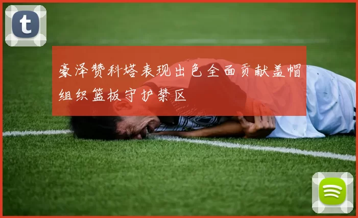 豪泽赞科塔表现出色全面贡献盖帽组织篮板守护禁区